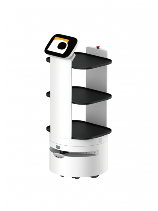 D3 Food Delivery Robot